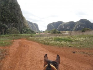 vinales