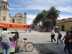 oaxaca1