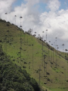 20131104-205254.jpg