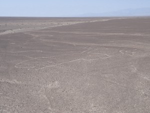 20140404-172736.jpg