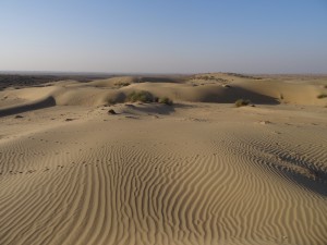 Aussicht auf die Dünen