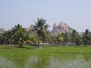 Hampi ist ein Naturparadies!